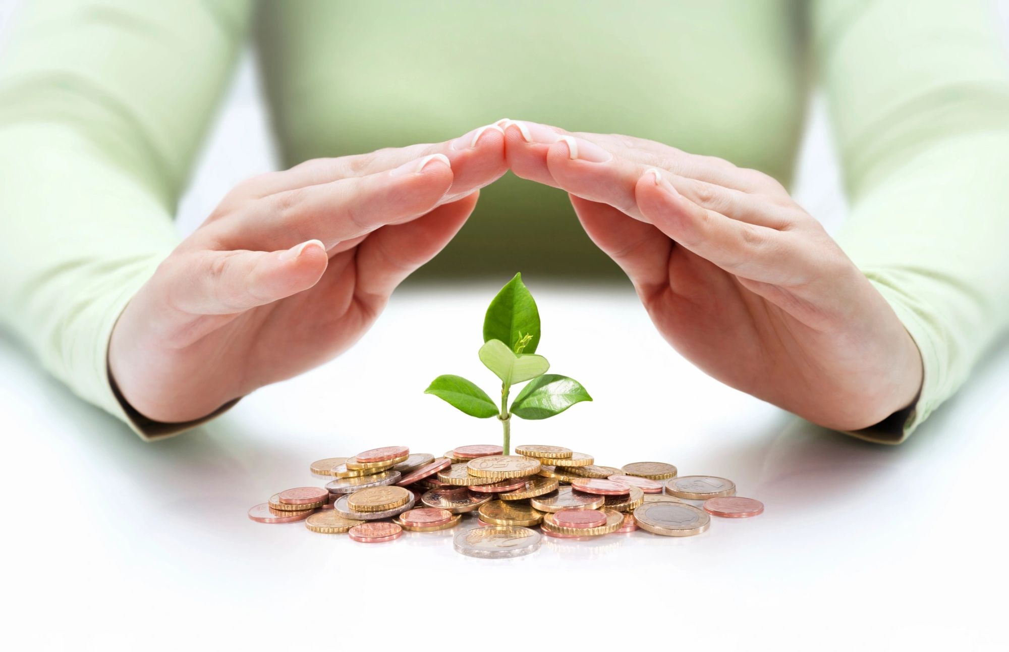 Hands sheltering a seedling growing from coins